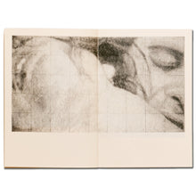 Load image into Gallery viewer, Sex Works