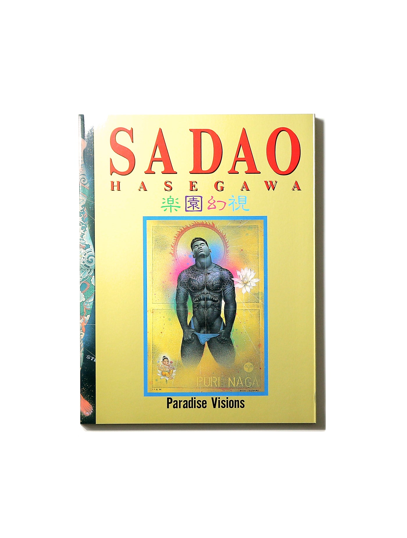 Sadao Hasegawa Paradise Visions book cover